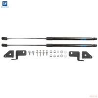 Упоры капота оригинальные для Chevrolet Cobalt (2020-2025) № CHCPH032NL