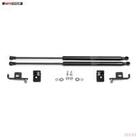 Упоры капота для Skoda Karoq (2020-2025) № USKKAR011