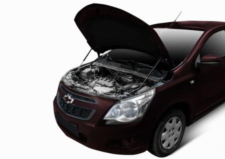 упоры капота для ravon r4 (2016-2020) 2 шт. № urar4011