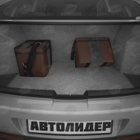 Автомобильная сумка (30х30х20 см), Артикул: ASEK-0116 