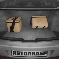 Автомобильная сумка (30х30х20 см), Артикул: ASEK-0126 