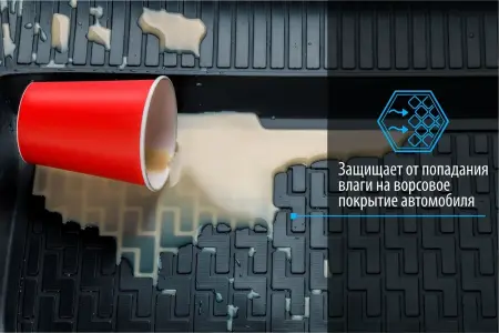 Коврики салона Rival для Ford Focus (2004-2011) № 11801001