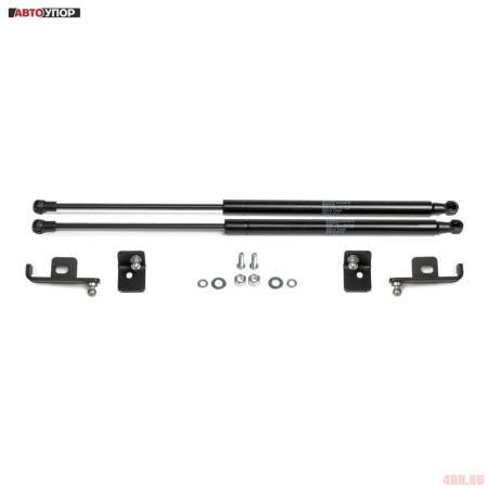 Упоры капота для Skoda Karoq (2020-2025) № USKKAR011