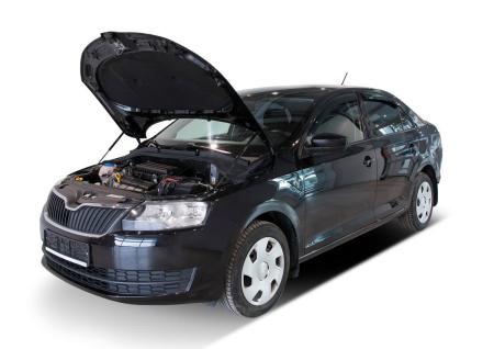 упоры капота для skoda rapid i (2012-2020) 2 шт. № uskrap012