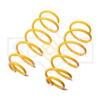 Пружина передняя для Chevrolet Aveo 2011-2015