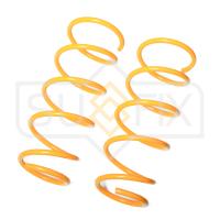 Пружина передняя для Renault Kangoo 1997-2010