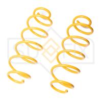 Пружина задняя (1 шт.) арт. SZ-1365 Citroen C3 02-10