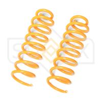 Пружина задняя для Renault Scenic 2003-2009