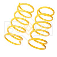 Пружина задняя для Hyundai Terracan 2001-2006