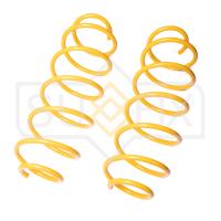 Пружина передняя (1 шт.) арт. SZ-1283 Citroen C3 02-10