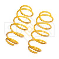 Пружина передняя для Citroen C4 2009-2016/Citroen DS4 2011-2015/Peugeot 308 2007-2014