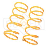 Пружина задняя для Subaru Forester 1997-2002