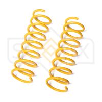 Пружина задняя (1 шт.) арт. SZ-1479 Ford Focus 2011-