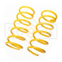 Пружина передняя (1 шт.) арт. SZ-1339 Suzuki Grand Vitara / Escudo 05-15