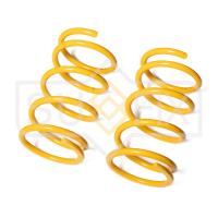 Пружина задняя (1 шт.) арт. SZ-2969 Toyota RAV 4 00-05