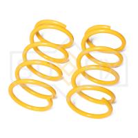 Пружина задняя (1 шт.) арт. SZ-2970 Toyota RAV 4 00-05