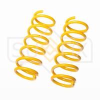 Пружина задняя (1 шт.) арт. SZ-1578 Nissan Maxima Qx 94-00