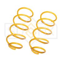 Пружина передняя для BMW 1-Серия 2006-2012/BMW 3-Серия 2004-2013