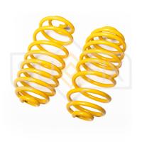 Пружина задняя для Renault Kangoo 2008-2013