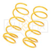 Пружина передняя (1 шт.) арт. SZ-2804 Toyota Yaris/Echo/Vitz 99-05