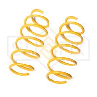 Пружина передняя (1 шт.) арт. SZ-2674 Ford Fusion 02-12